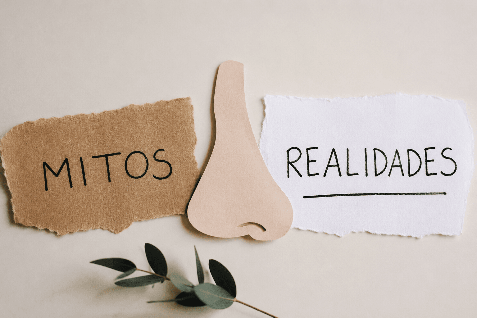 Rinoplastia: mitos y realidades